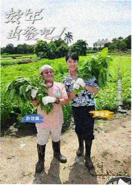 喜剧后台日记纪实综艺在线看